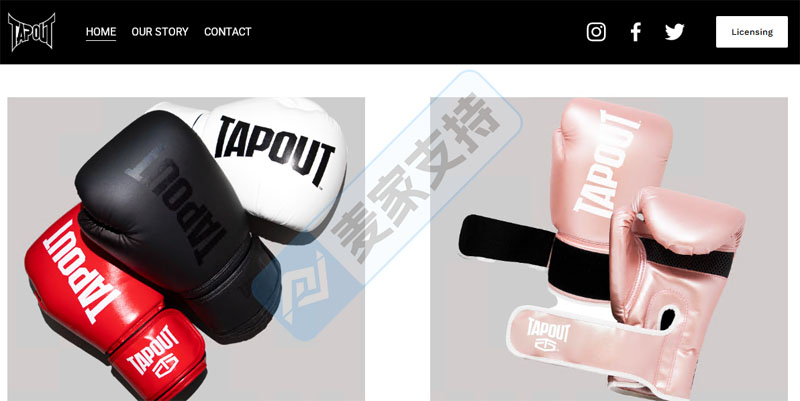 5-cv-03253，Sladkus代理TapouT