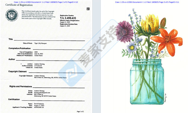 5-cv-12355，keith律所代理鲜花与橙子插画跨境维权！TRO冻结在即"