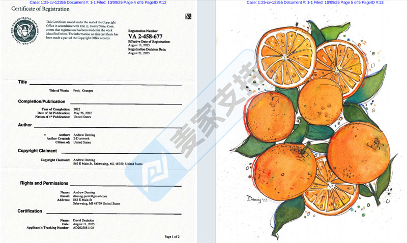 5-cv-12355，keith律所代理鲜花与橙子插画跨境维权！TRO冻结在即"