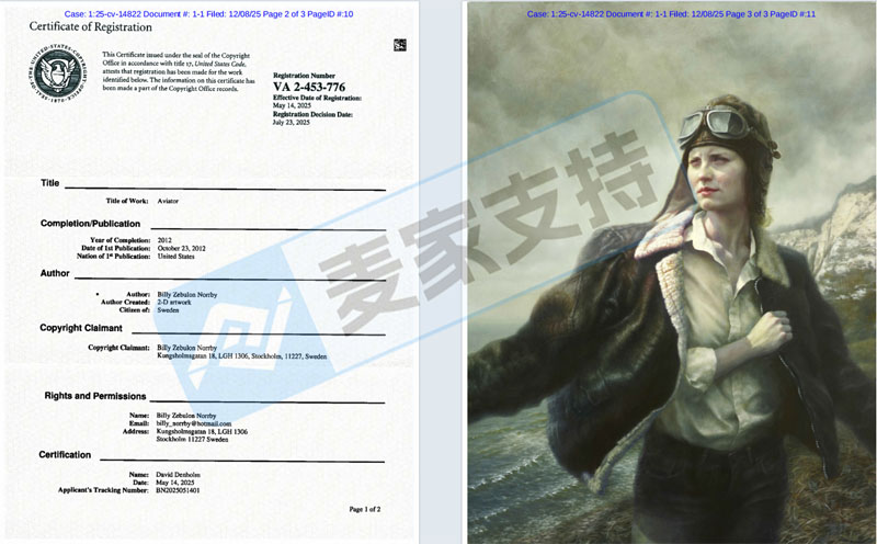 5-cv-14822，女飞行员版权画跨境首维权，跨境卖家注意避雷~"