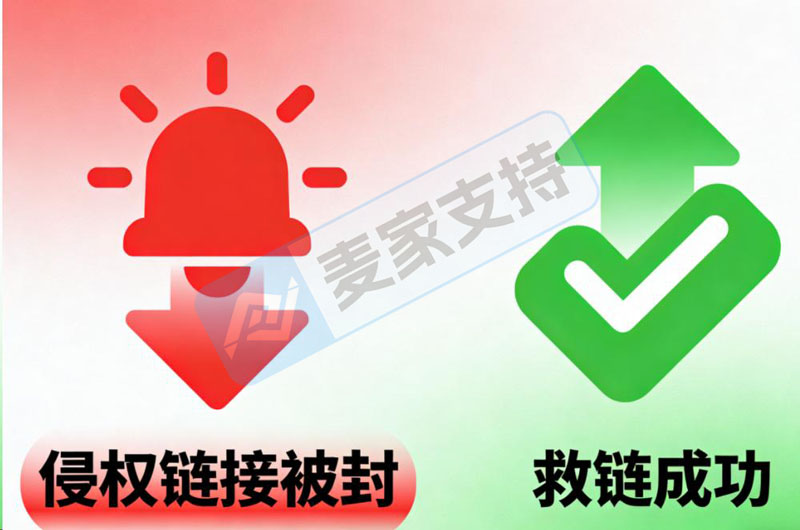 跨境卖家的生死劫：专利侵权链接被删？专业团队助力逆风翻盘！