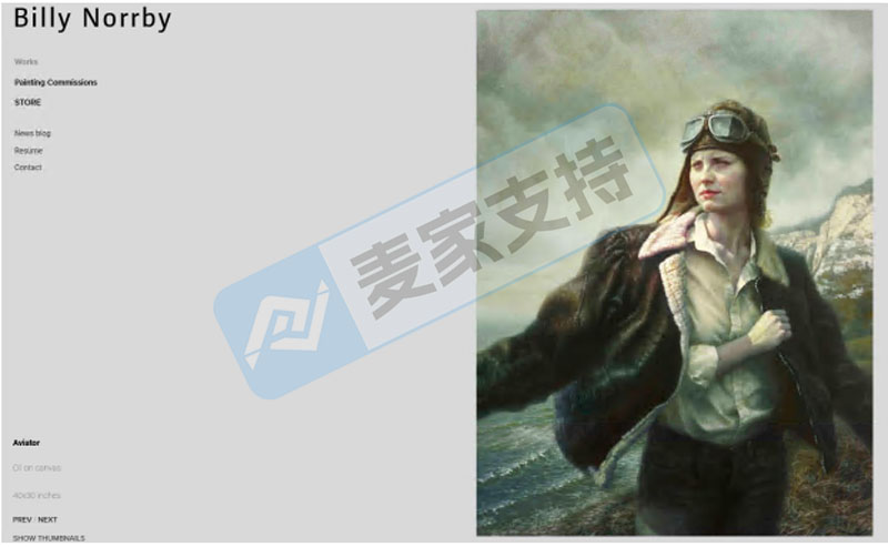 5-cv-14822，女飞行员版权画跨境首维权，跨境卖家注意避雷~"