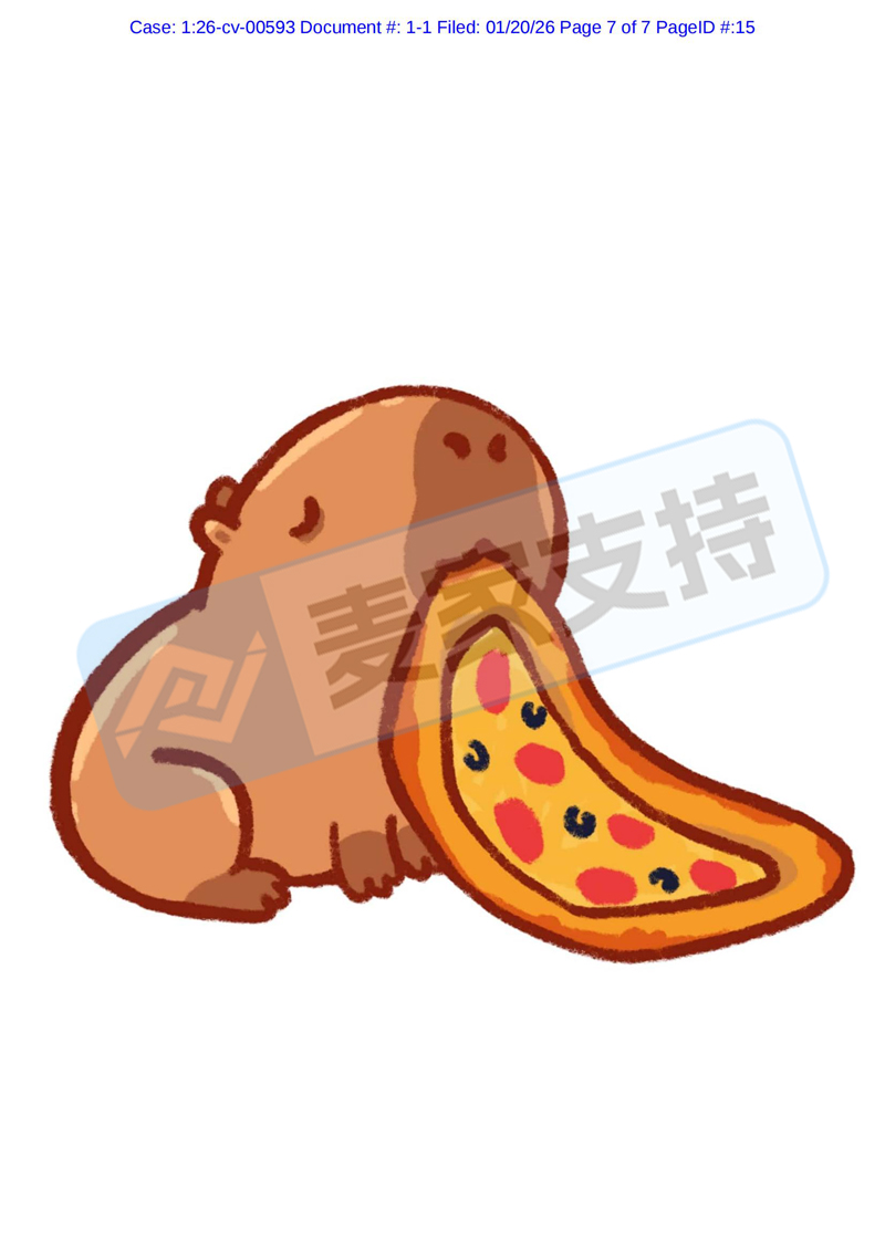 6-cv-00592,keith律所雷霆出击,卡皮巴拉两案并发,284店被列为侵权被告!"