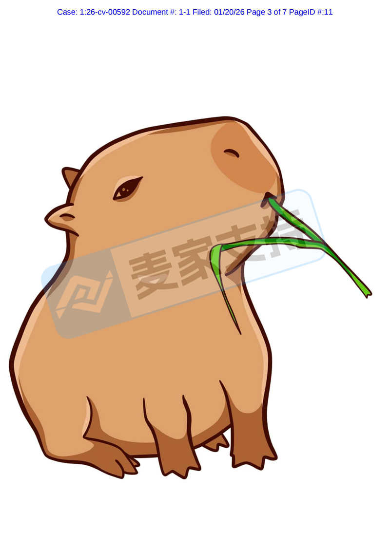 6-cv-00592,keith律所雷霆出击,卡皮巴拉两案并发,284店被列为侵权被告!"