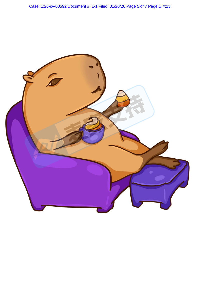 6-cv-00592,keith律所雷霆出击,卡皮巴拉两案并发,284店被列为侵权被告!"