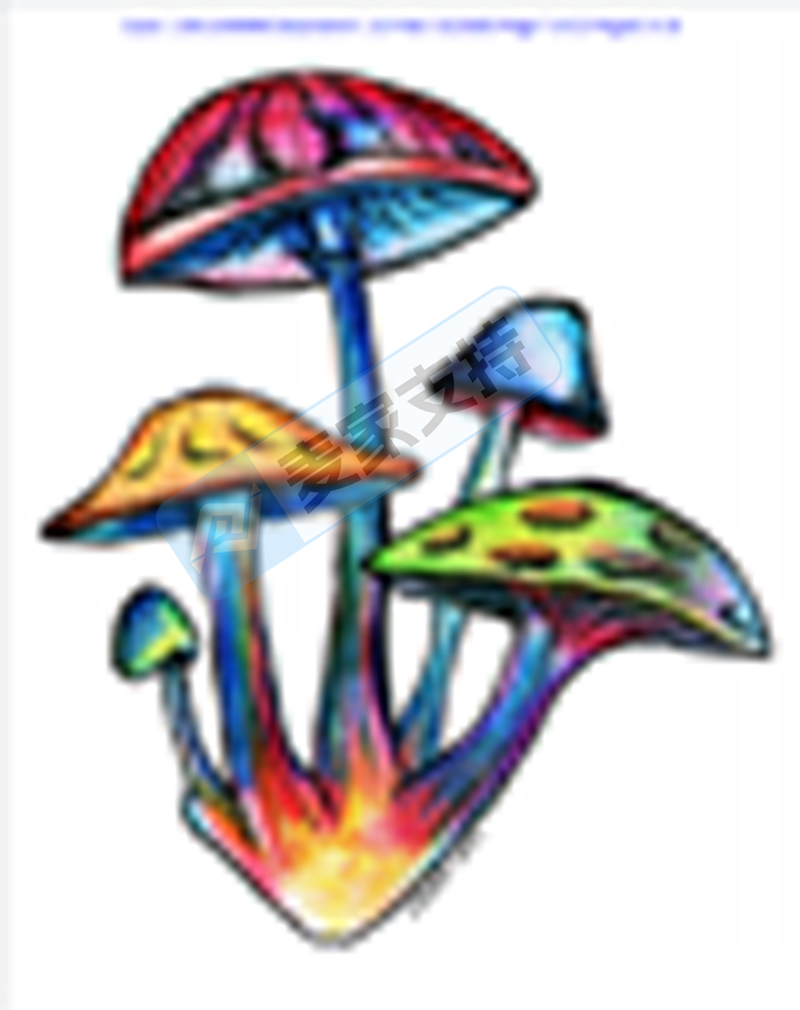 6-cv-00595,keith律所代理迷幻蘑菇跨境维权,88个跨境账户涉案将被TRO冻结!"