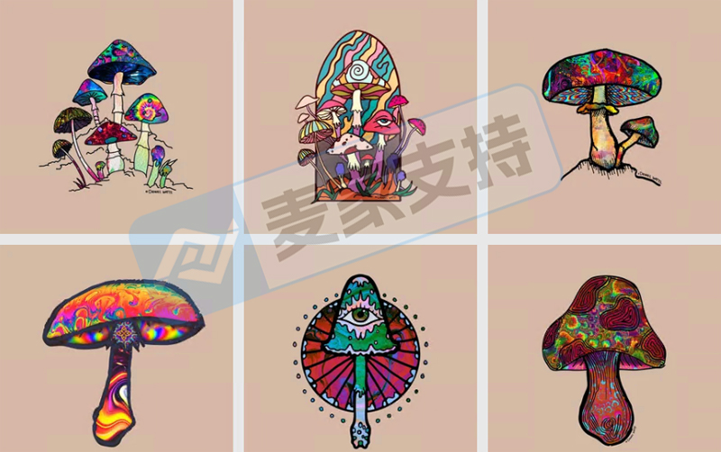 6-cv-00595,keith律所代理迷幻蘑菇跨境维权,88个跨境账户涉案将被TRO冻结!"