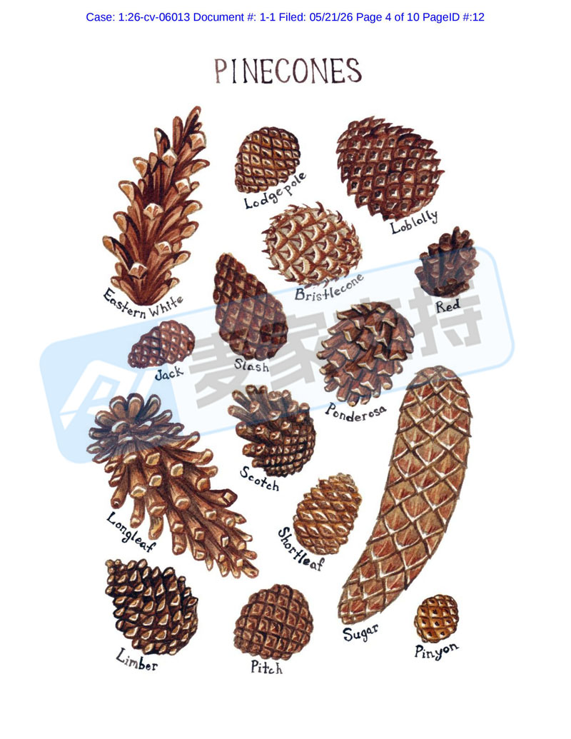 6-cv-06013,动植物图鉴版权精准打击,这35店别等TRO冻结才后悔!"