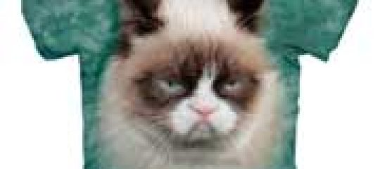 GRUMPY CAT 不爽猫