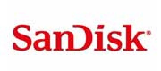 SANDISK 闪迪