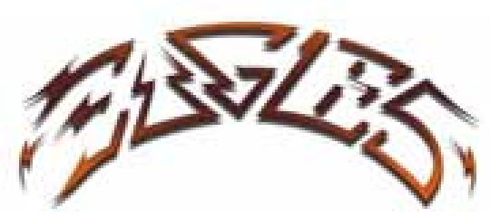 EAGLES 老鹰乐队