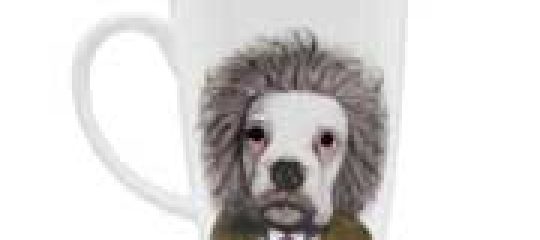 PETS ROCK
