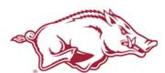 RAZORBACKS