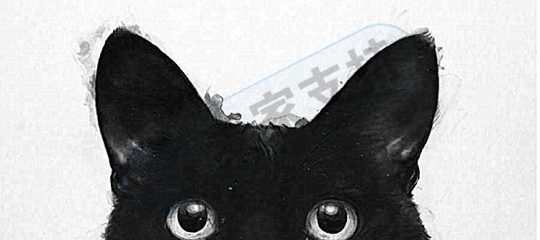 Keith律所又代理一位插画师，LAURA GRAVES PRODUCTS版权图片维权！法院已批准TRO动议，卖家注意排查！