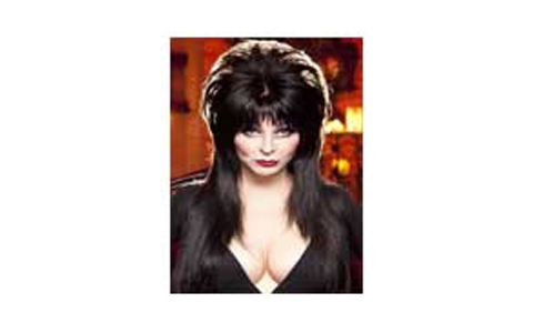 ELVIRA: MISTRESS OF THE DARK 埃尔维拉：黑暗的女主人