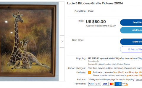 谨慎用图！LUCIE BILODEAU 版权画由原告律所Keith代理维权，已提出TRO临时禁令！