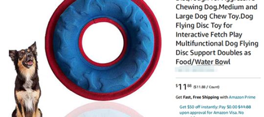24-cv-06580，keith代理TRO常客，frisbee飞盘维权再回归