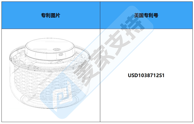 跨境侵权预警——沙拉脱水器，美国外观专利新下证！