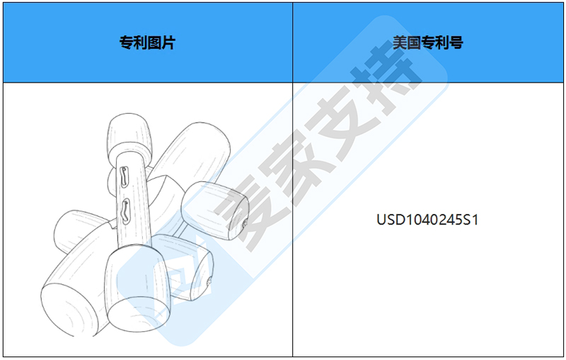 跨境侵权预警——充气骑乘战斗木筏，美国外观专利侵权！