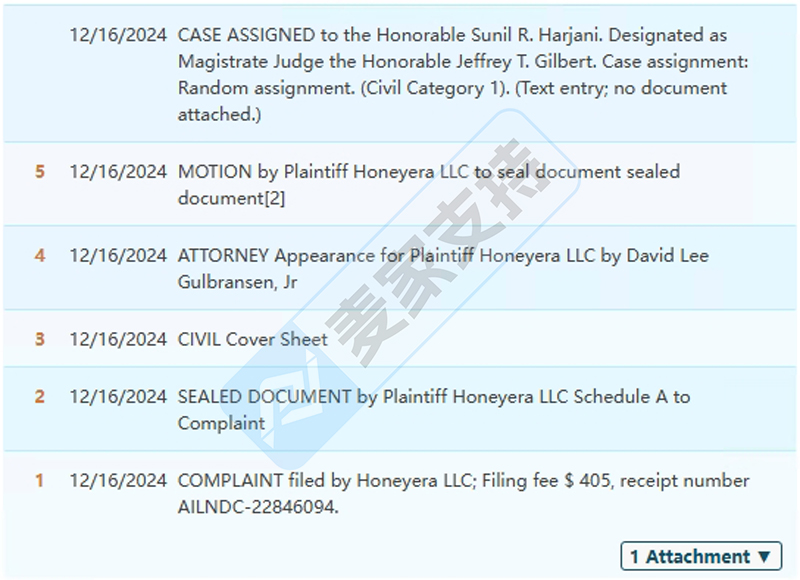 4-cv-12867，门后悬挂收纳包也有专利，David代理TRO维权"