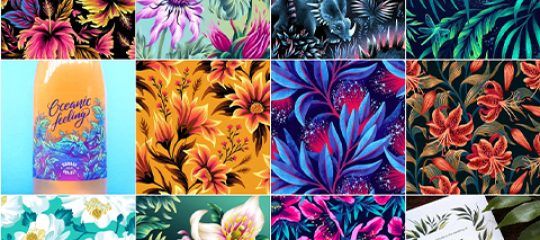 Andrea Alice Muller 版权作品
