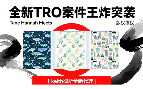 25-cv-05088,Keith律所重拳出击!Tane Hannah10个版权涉多品类维权-麦家支持-为跨境卖家服务