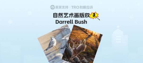 25-cv-00926，自然艺术版权频频维权，59店涉案，TRO冻结迫在眉睫
