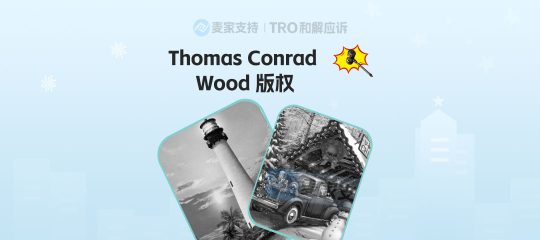 25-cv-00800，乡村题材版权申请维权！申请TRO冻结54店