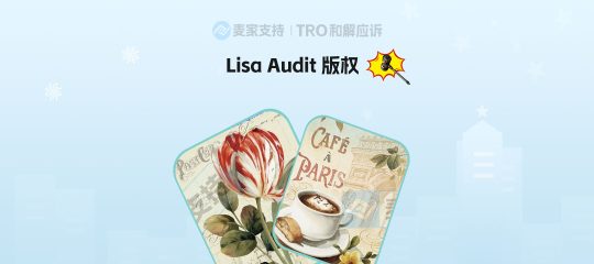 25-cv-09344，14个候补版权突袭！预计将TRO冻结近千店的Lisa Audit持续维权！