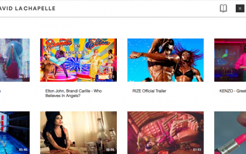 David E. LaChapelle 版权