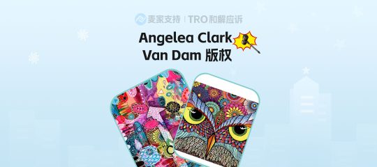 25-cv-01198，Van Dam隐匿突袭！Temu平台成重灾区！98店涉案被TRO冻结！