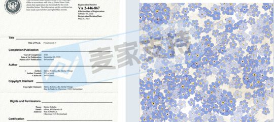 【麦家支持案例分享】又收获卖家花式夸赞，这和解速度堪称“光速”！