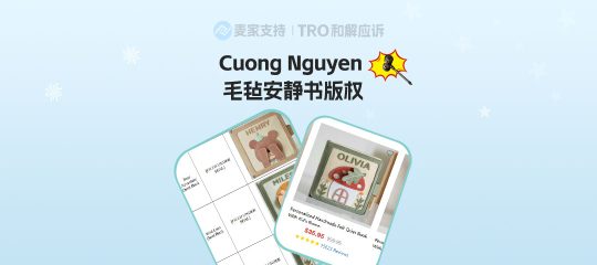 25-cv-10356，卡通毛毡安静书版权维权进行时，跨境卖家警惕TRO冻结风险！