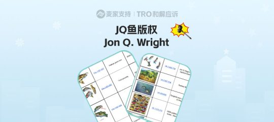 25-cv-07213，588个Temu卖家天塌了，账户资金已被JQ鱼版权TRO冻结！