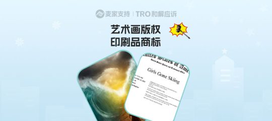 Ruediger Lauktien版权&Girls Gone Skiing商标双双维权，当心TRO冻结风险