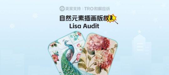 25次维权！4800+账户遭冻结！Lisa Audit版权风暴席卷跨境圈，还有多少卖家身处雷区不自知？