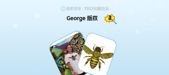 26-cv-00528，349店陷“蜜蜂劫”，George版权维权TRO冻结风暴来袭！