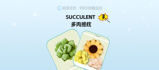 26-cv-04279等，家居用品卖家注意排雷！多肉抱枕品牌密集维权，侵权风险居高不下