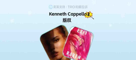 26-cv-08363 | Kenneth Cappello时尚摄影作品隐匿维权，TRO冻结风险将至