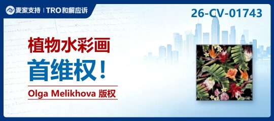 26-cv-01743｜277店面临TRO被冻结！Keith律所代理水彩花卉版权新案来袭，多平台卖家踩坑