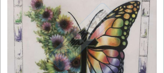 Secret garden 1‑buterfly cross rainbow 秘密花园