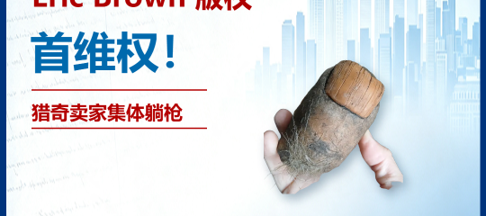 26-cv-02065㇑Eric Brown版权隐匿维权，细节已扒！猎奇类目卖家需关注TRO风险