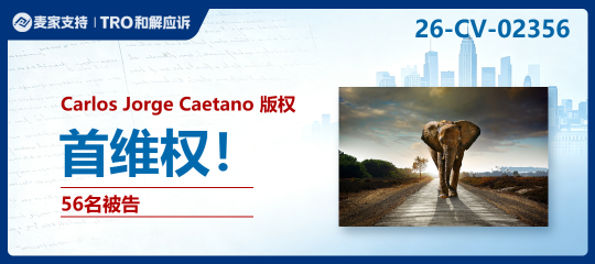 26-cv-02356｜印刷品卖家的噩梦！Keith代理Carlos Caetano版权维权引爆深秋冻结潮